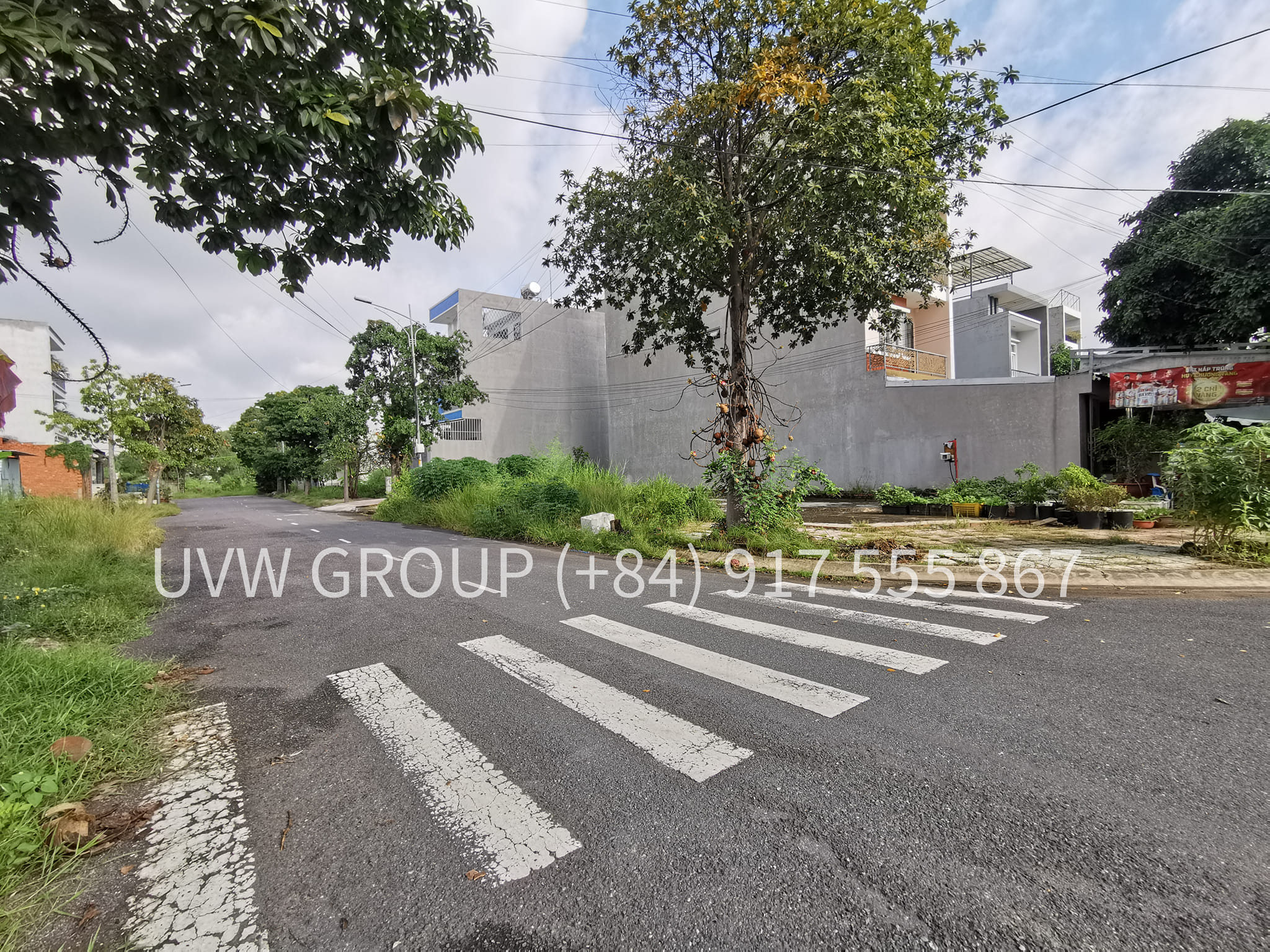 Urgent Sale – Residential Land in Long Truong Ward, District 9 | 710m² | 29 Billion VND